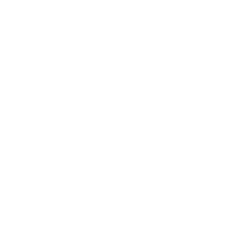 Toyota US Woordfees Stellenbosch